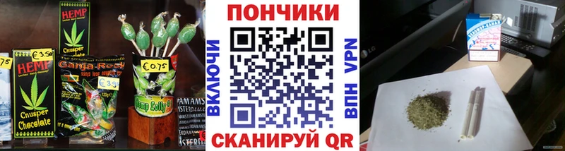 Купить закладки  Ковдор  Cannafood конопля 