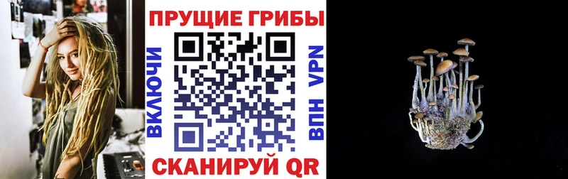 Псилоцибиновые грибы мухоморы Купить закладки Ковдор