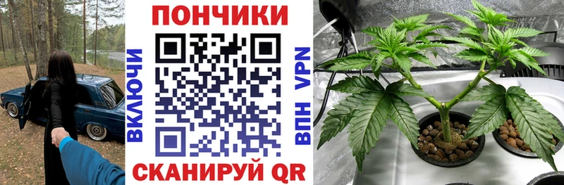 Конопля White Widow  Купить где  Ковдор 